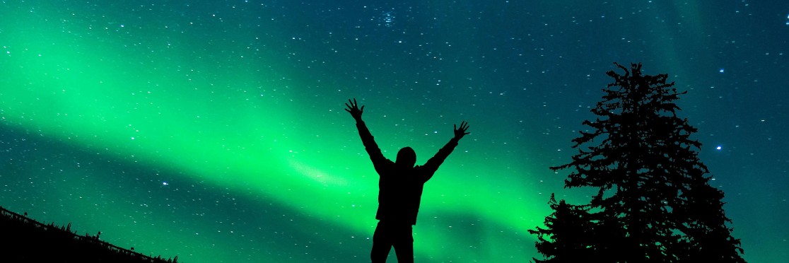 pexels-gerhard-lipold-274371-6043062