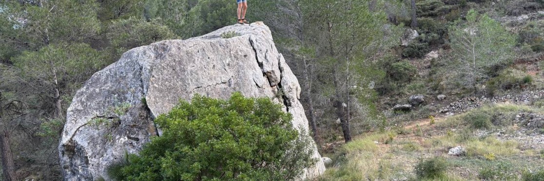 pexels-gerhard-lipold-274371-6043062