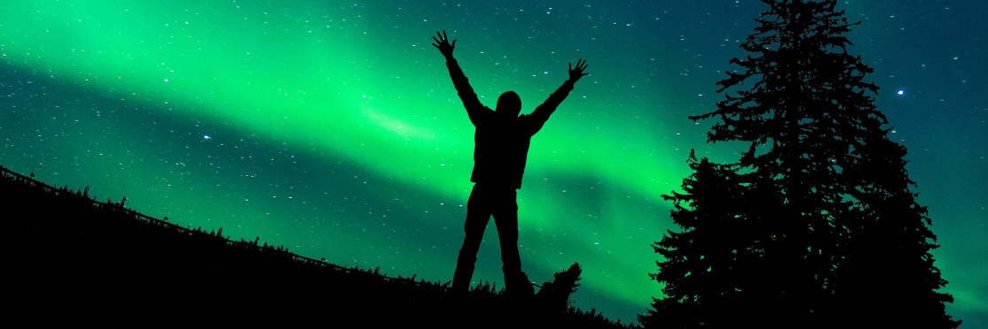 pexels-gerhard-lipold-274371-6043062