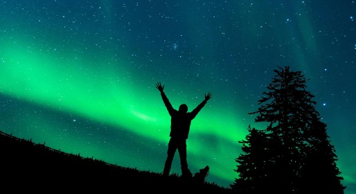 pexels-gerhard-lipold-274371-6043062